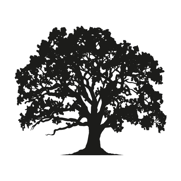 Sagoma di quercia disegnata a mano