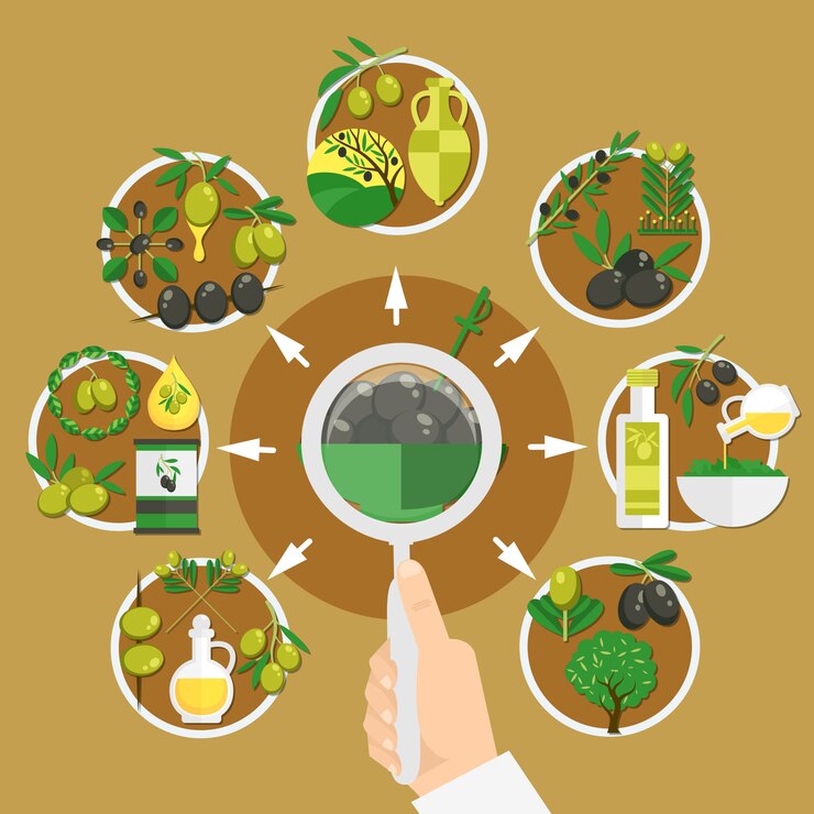Vettore gratuito scelta di composizione di olive
