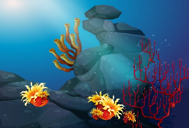 Scena della natura con fondo subacqueo barriera corallina