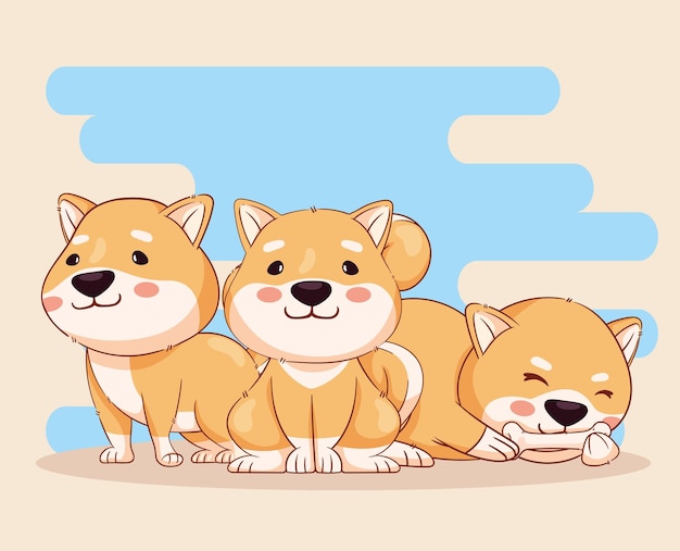 scena di tre personaggi shiba inu