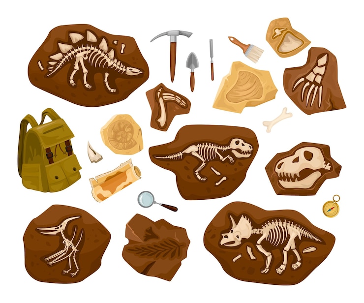 Vettore gratuito scheletro di dinosauro set archeologico di immagini isolate con strumenti zaino e reperti di ossa antiche in pietre illustrazione vettoriale