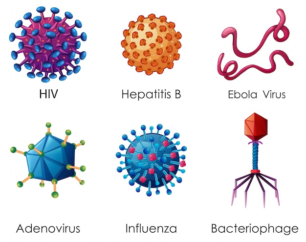 Sei tipi di virus su sfondo bianco
