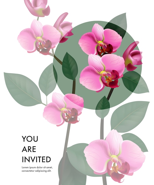 Sei un modello di carta invitato con orchidee rosa trasparenti e un cerchio verde