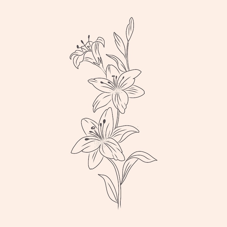 Vettore gratuito semplici contorni di fiori disegnati a mano