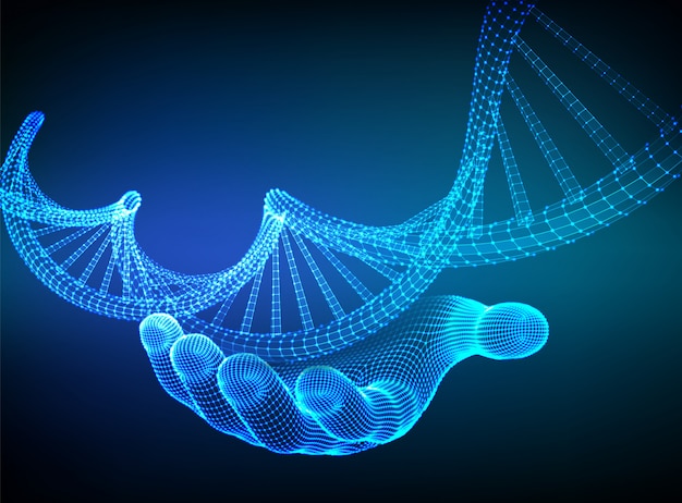 Sequenza di DNA in mano. Maglia metallica della struttura delle molecole di codice del DNA di Wireframe.