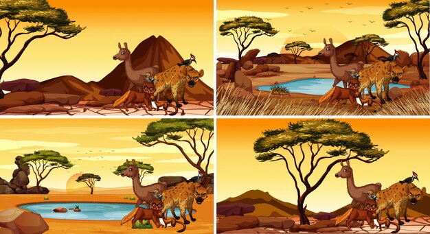 Serie di scene con animali nel deserto