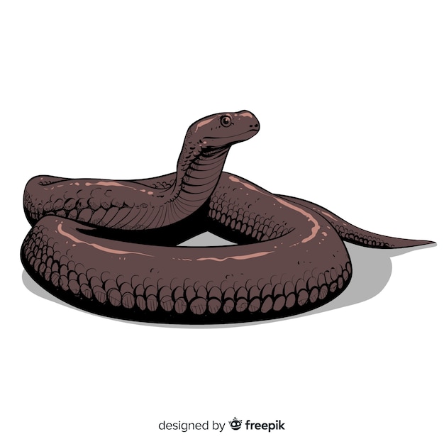 Serpente disegnato a mano realistico