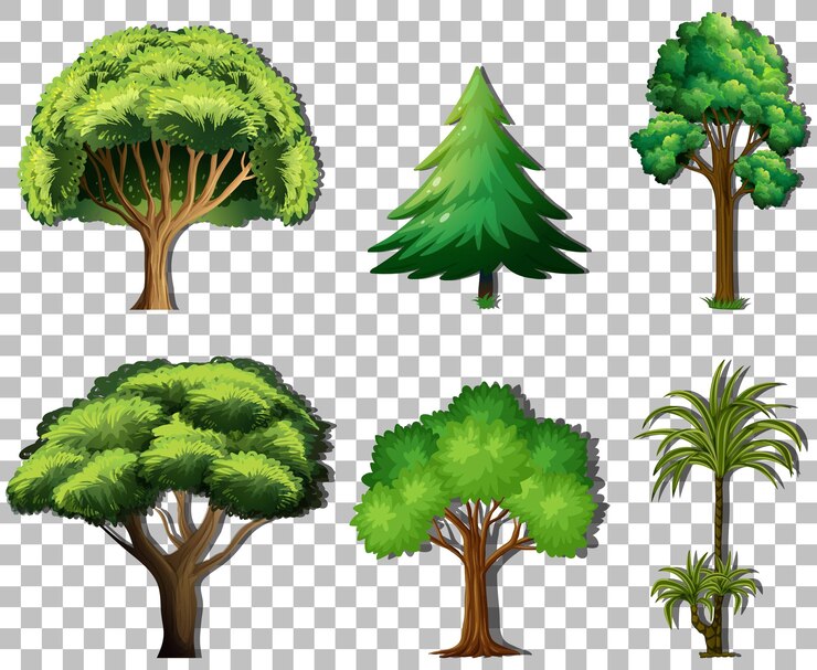 Vettore gratuito set di alberi di varietà su sfondo trasparente