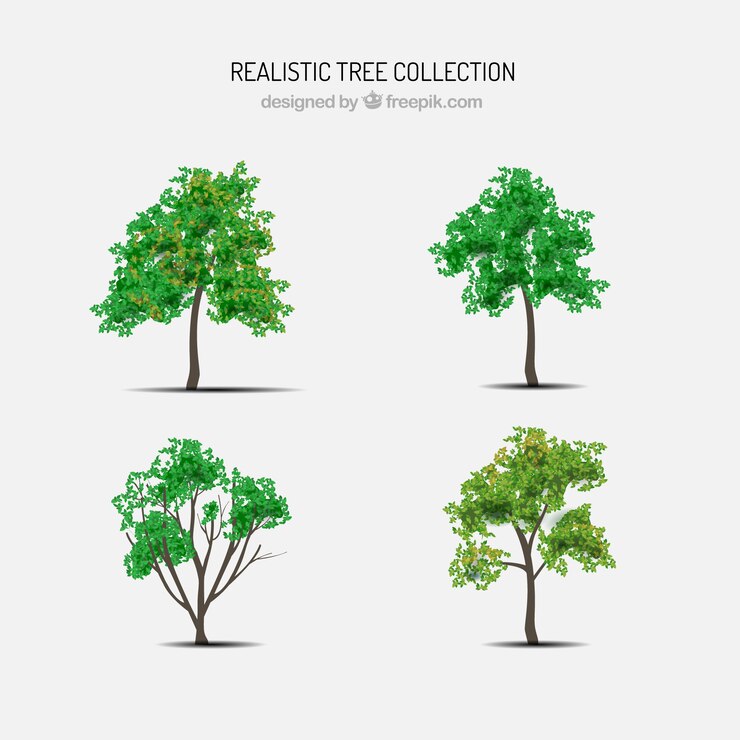 Vettore gratuito set di alberi in stile realistico