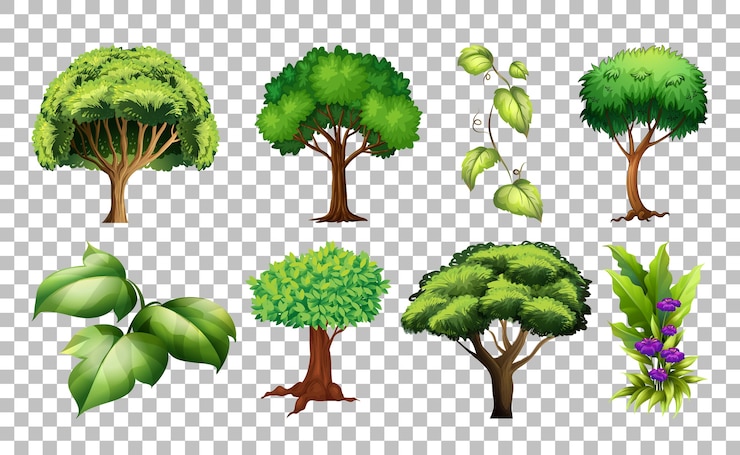 Vettore gratuito set di albero su trasparente