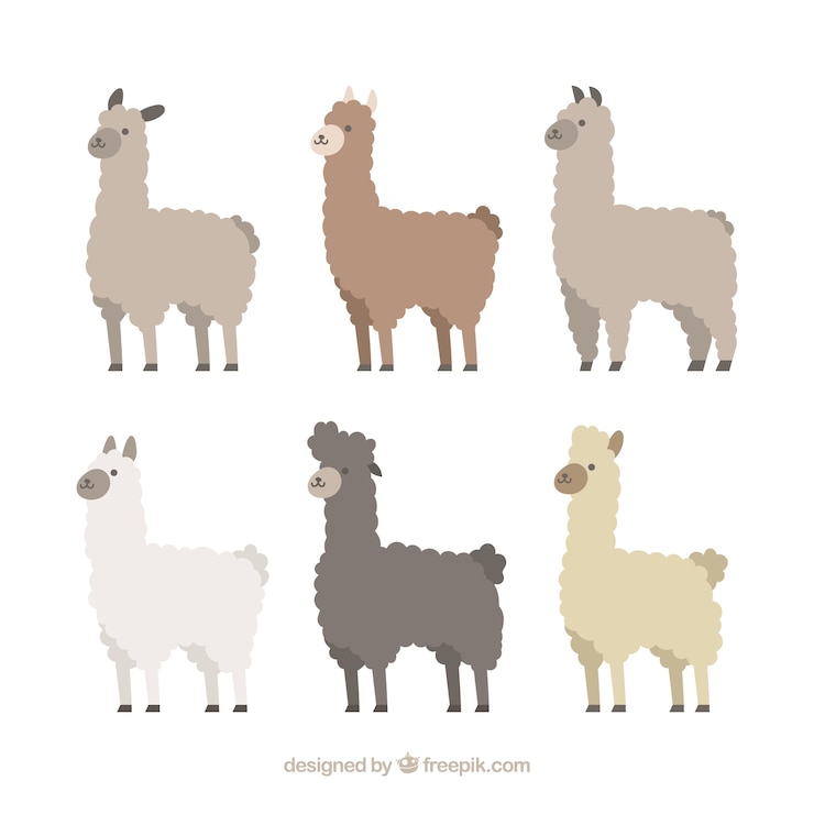 Vettore gratuito set di alpaca carino