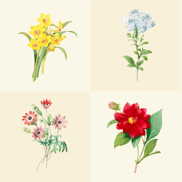 Set di bellissimi fiori selvatici in fiore