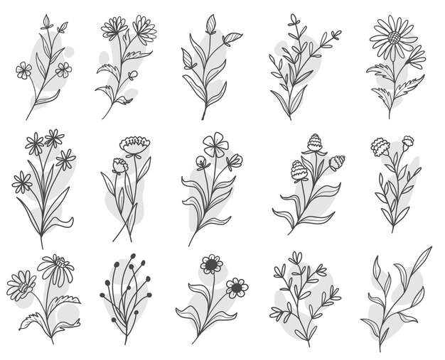 Set di botanica foglia doodle linea arte di fiori selvatici