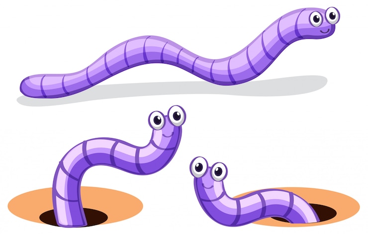 Vettore gratuito set di caratteri worm