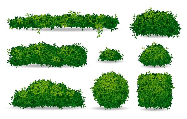 Set di cespugli verdi realistici e corone di alberi isolati su sfondo bianco illustrazione vettoriale