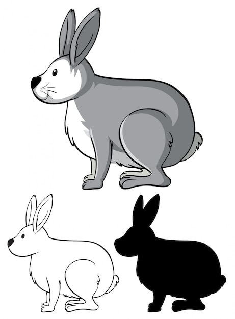 Set di coniglio cartone animato