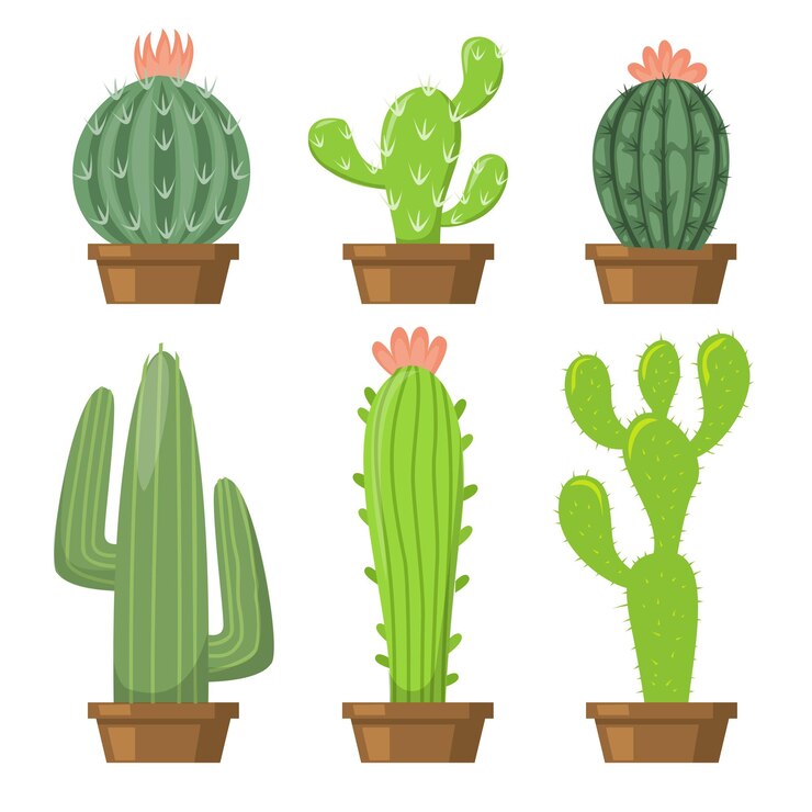 Vettore gratuito set di diversi cactus verdi in vaso disegno su sfondo bianco