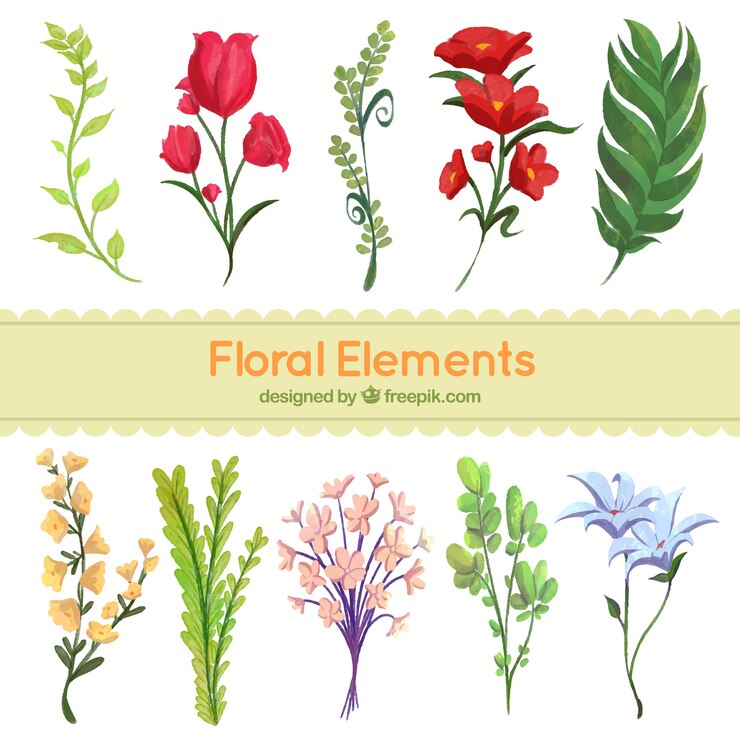 Vettore gratuito set di elementi decorativi floreali