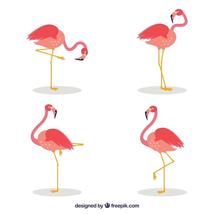 Vettore gratuito set di fenicotteri rosa con diverse pose