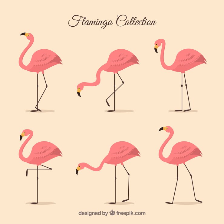 Vettore gratuito set di fenicotteri rosa con diverse pose