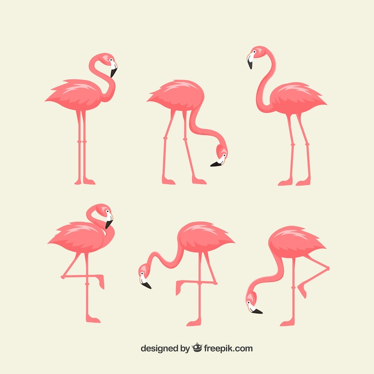 Vettore gratuito set di fenicotteri rosa con diverse pose
