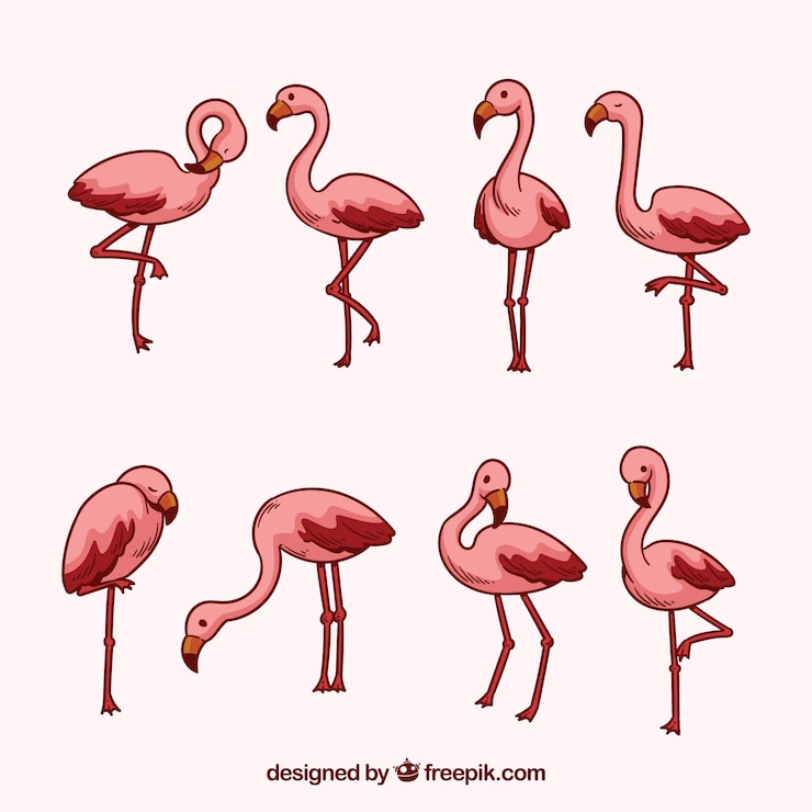 Vettore gratuito set di fenicotteri rosa con diverse posture