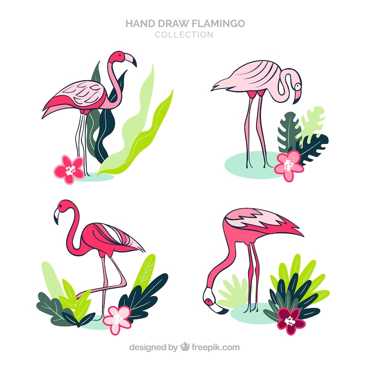 Vettore gratuito set di fenicotteri rosa con diverse posture