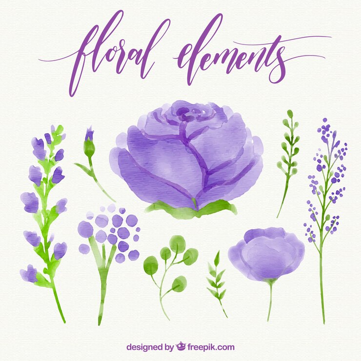 Vettore gratuito set di fiori di acquerello decorativi