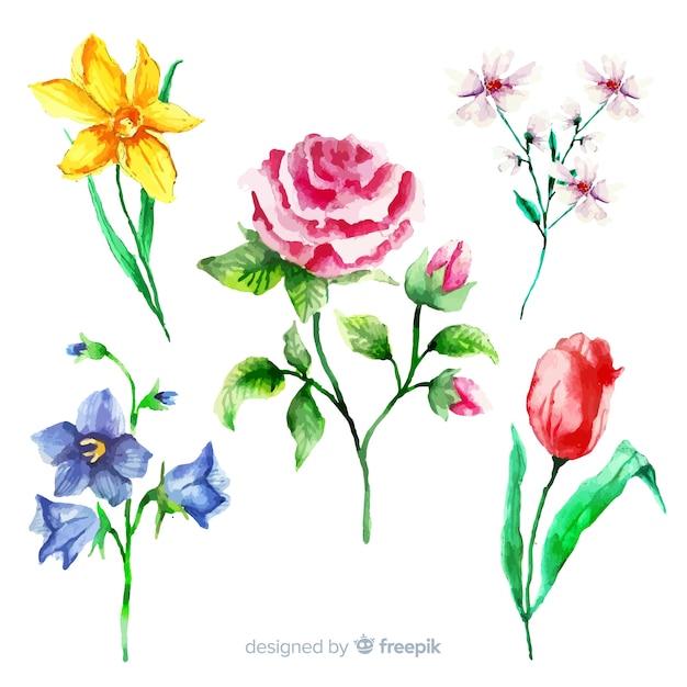 Set di fiori di botanica vintage
