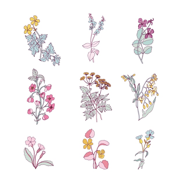 Set di fiori disegnati a mano di incisione