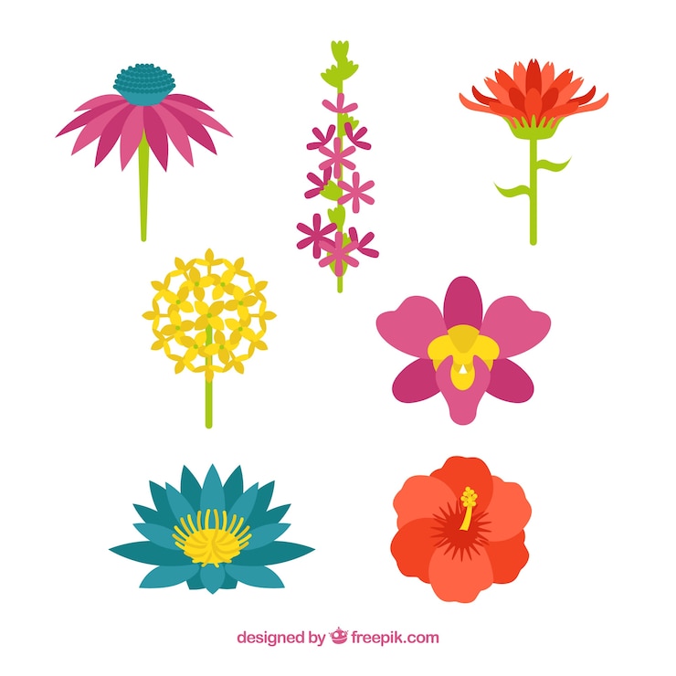 Vettore gratuito set di fiori in stile piatto
