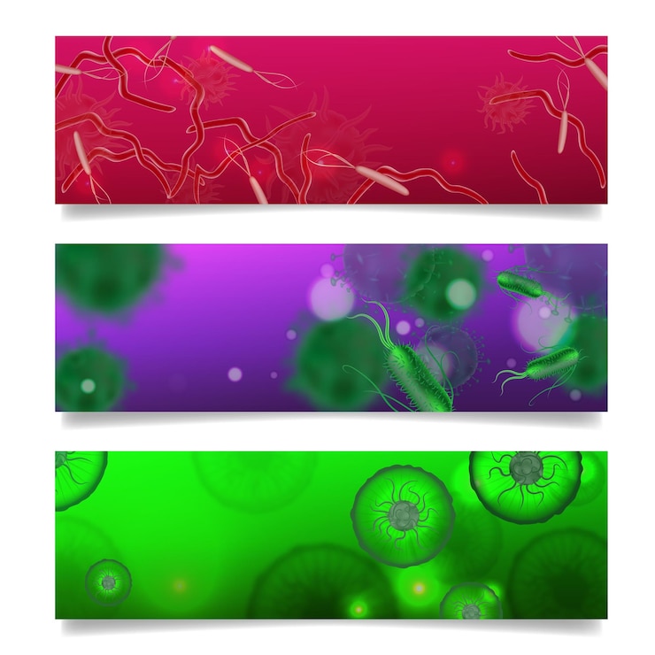 Vettore gratuito set di forme batteriche di tre striscioni orizzontali con grafica e immagini realistiche di microbi colorati microrganismi illustrazione vettoriale