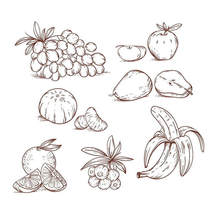 Vettore gratuito set di frutta disegnata a mano incisione