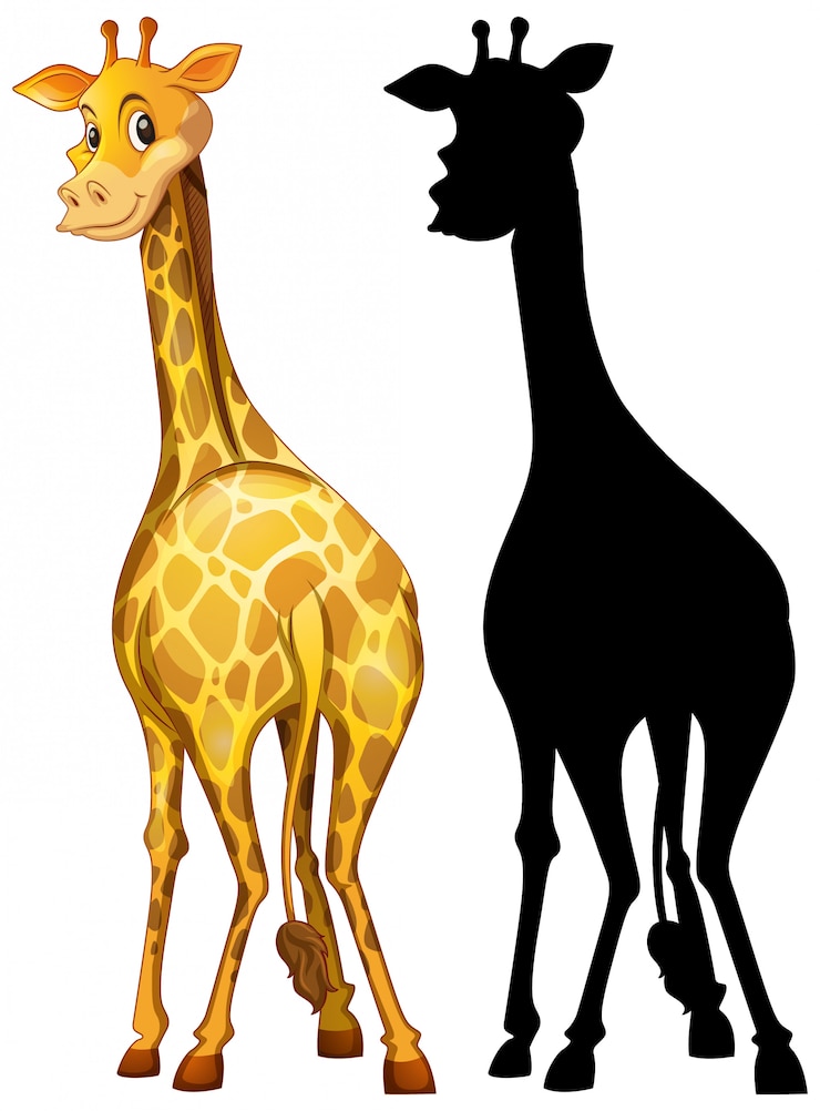 Vettore gratuito set di giraffa e la sua silhouette