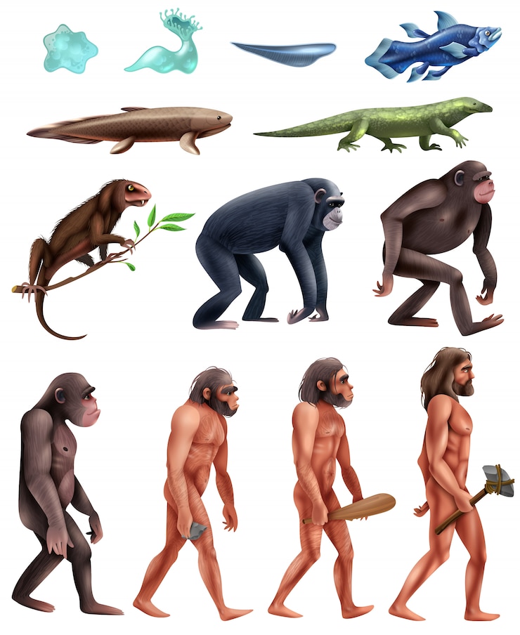 Vettore gratuito set di icone di darwin evolution