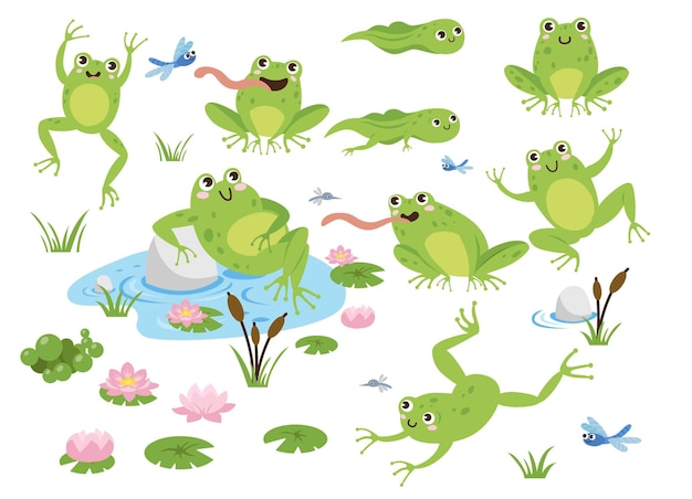 Set di illustrazioni di personaggi dei cartoni animati di rana carina