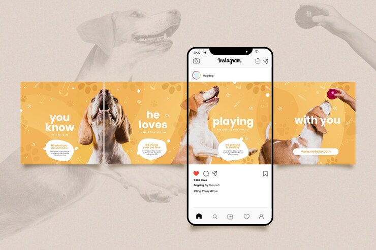 Vettore gratuito set di modelli di carosello di instagram