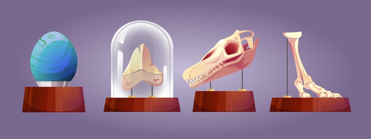 Vettore gratuito set di mostre del museo della scienza