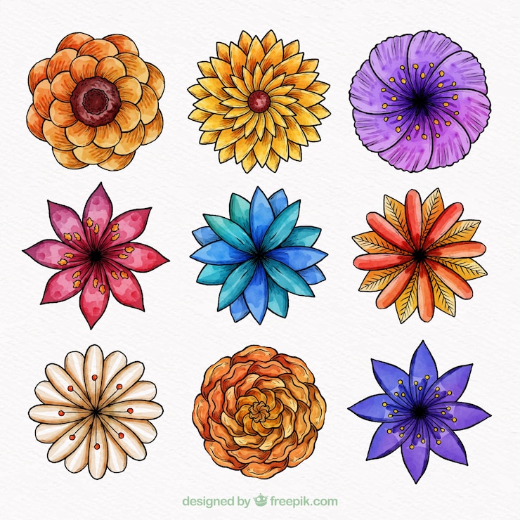 Vettore gratuito set di nove fiori