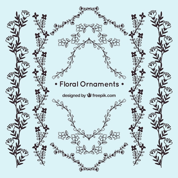Set di ornamenti floreali in mano disegnato stile