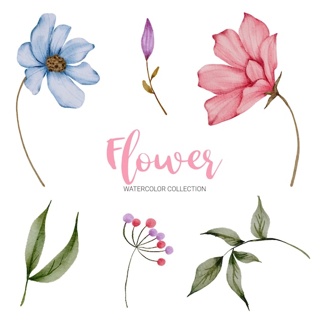 Set di parti separate e riunite per creare un bellissimo mazzo di fiori in stile acquerello