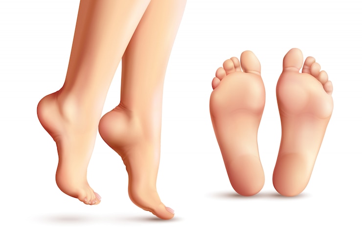 Vettore gratuito set di piedi femminili realistici