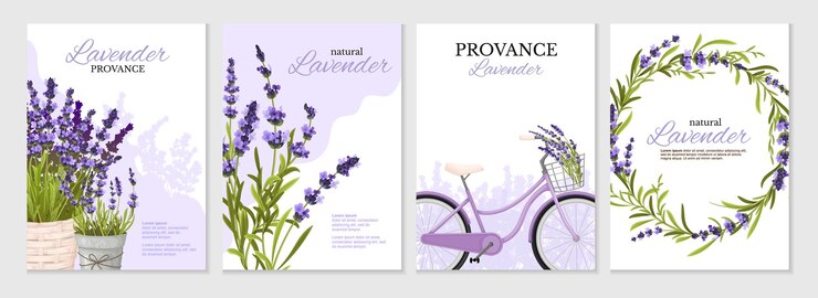 Vettore gratuito set di poster isolati floreali decorati con rametti di lavanda in cesto per biciclette in vaso e illustrazione realistica di vettore della struttura