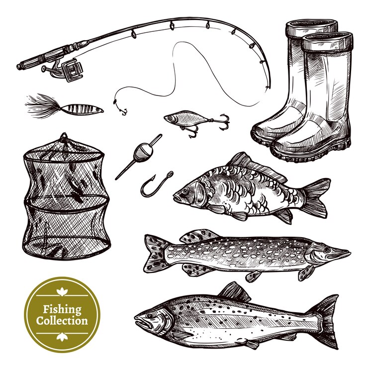 Vettore gratuito set di schizzo di pesca