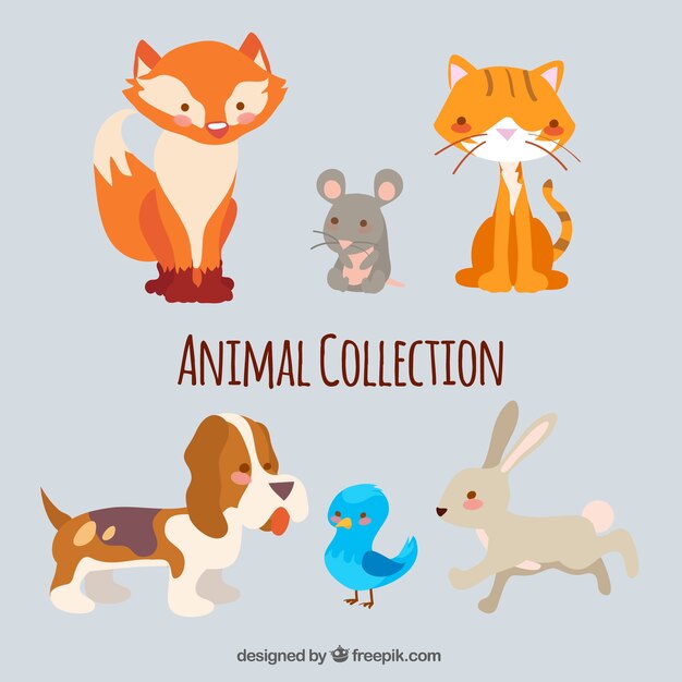 Set di sei bellissimi animali