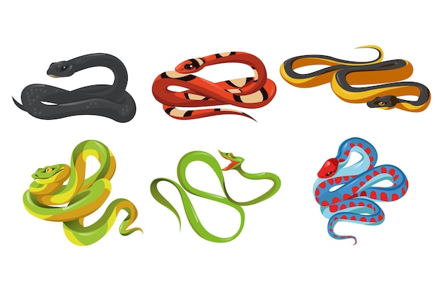 Set di serpenti vettoriali isolati specie di serpente dei cartoni animati