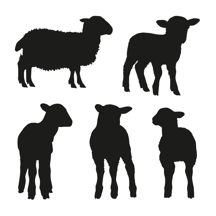 Vettore gratuito set di silhouette di agnello disegnate a mano