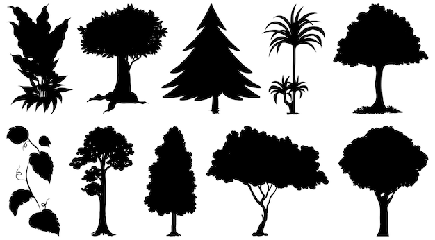 Set di silhouette di piante e alberi