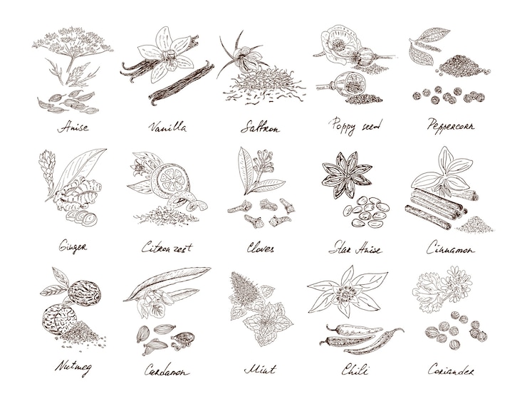 Vettore gratuito set di spezie naturali disegnate a mano
