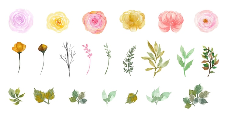 Vettore gratuito set di splendidi fiori dell'acquerello individuali e raccolta di foglie
